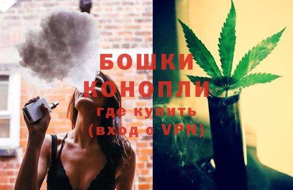 PSILOCYBIN Белоозёрский