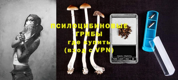 молекула духа Белокуриха