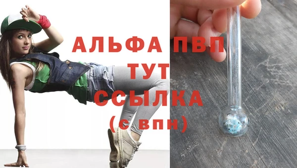 молекула духа Белокуриха