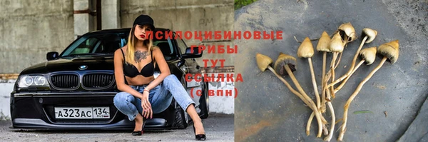 гашишное масло Беломорск