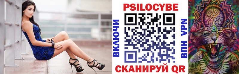 hydra   Высоцк  Псилоцибиновые грибы Psilocybine cubensis  продажа наркотиков 